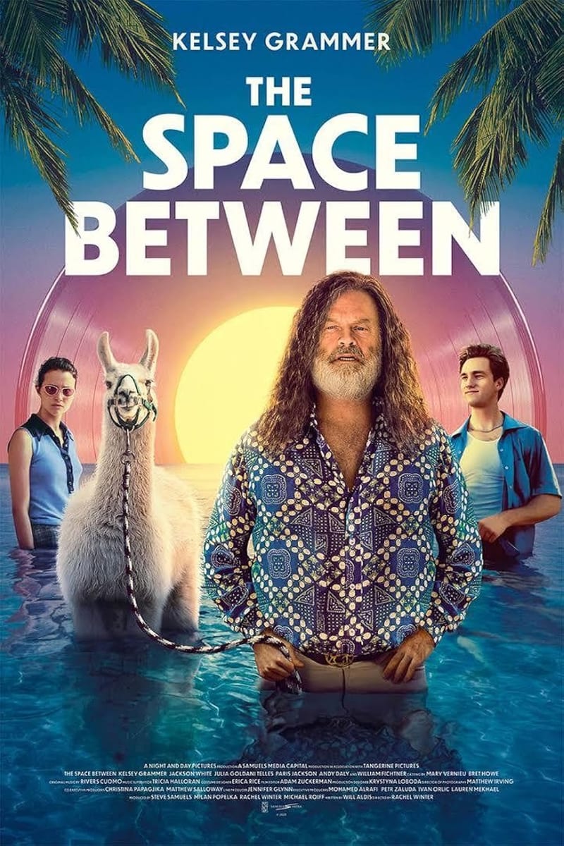 Poster for The Space Between